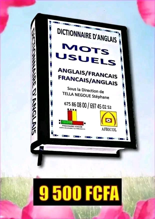 Dictionnaire "mots usuels" contenant plus de 100000 mots et expressions usuels avec leurs transcriptions phonétiques et leurs natures